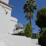 DSC04333