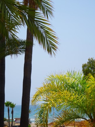 IMG_3278 IMG_3278