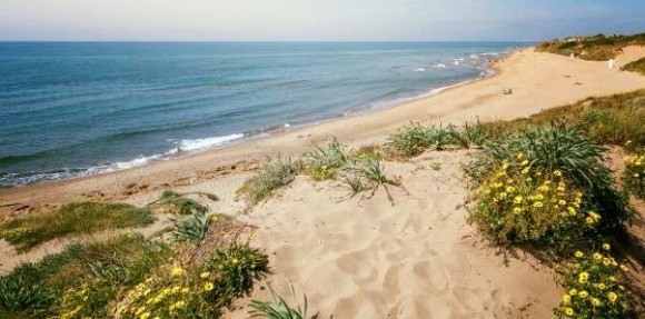 dunas dunas